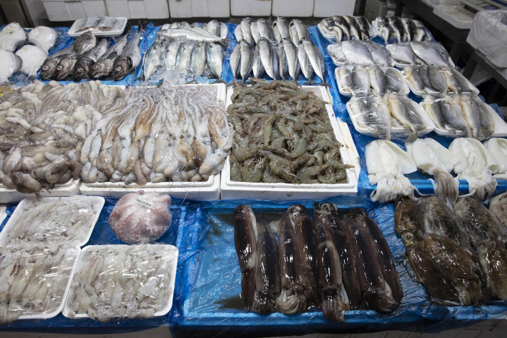 중앙시장 수산물 진열 모습